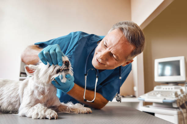 Best Emergency Treatment for Jaw Pain or Injury in Millsboro, DE